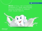 Don’t Forget to See Your Dentist Every 6 Months!