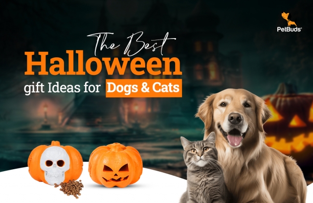 Halloween 2024: Best Gifts  Dog Toys Ideas to make it extra special