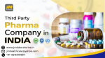 Third-Party Pharma Company in India: A Growing Industry