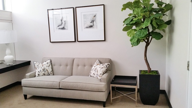 How an Office Interior Designer Can Maximize Your Small Office with Smart Interior Design