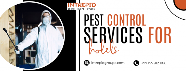 Comprehensive Pest Control Services for Hotels and Restaurants by Intrepid