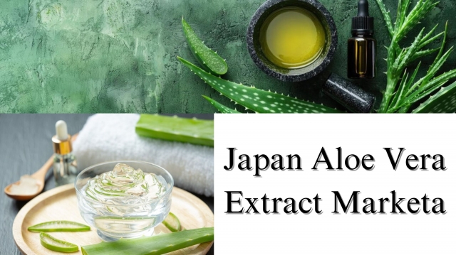 Japan Aloe Vera Extract Market Size, Share, Growth Forecast Through 2032