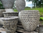 Indoor Plants New York & Small Potted Plants Outdoor: Embrace Green Living with Heritage Farm & Garden