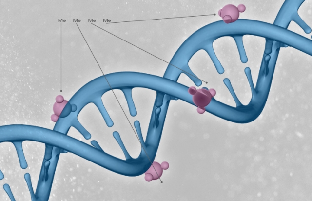 Epigenetics Market Size and Growth Forecast : Top Manufacturers,Future Developments,Regional Analysis.