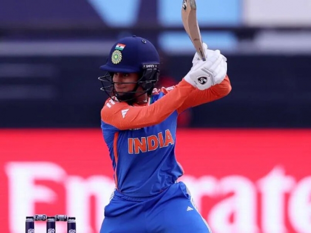 How Reddy Anna Book Delivers Unmatched Cricket Insights for Sports Enthusiasts.