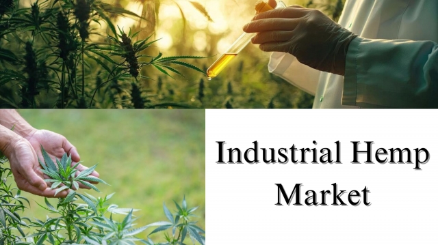 Industrial Hemp Market Size, Share, Report Insights: Growth Forecast, 2032