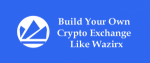 WazirX Clone Development