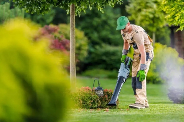 Choosing the Right Lawncare Companies in Sun Prairie: A Comprehensive Guide