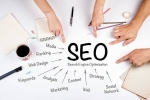 The Best SEO Services in Delhi: Affordable Solutions for Business Growth