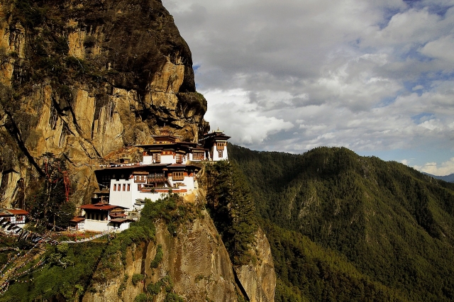 Homestay Adventures: How Staying Local is Transforming Travel