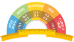 What is BMI Calculator?