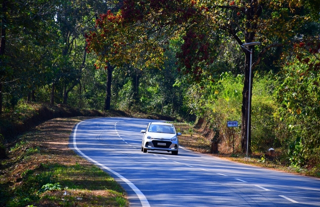 Sustainable Travel: Embrace Eco-Friendly Living at Homestays