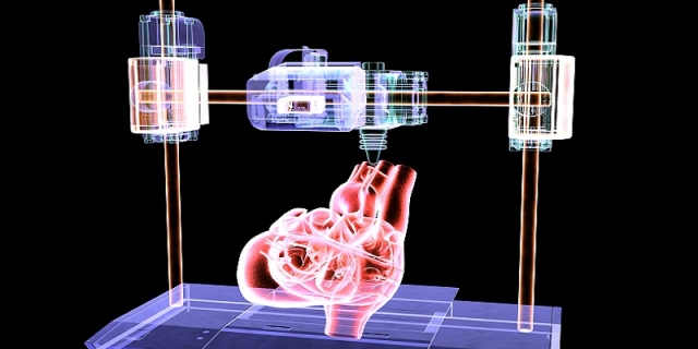 4D Printing in Healthcare Market Size and Growth Forecast : Top Manufacturers,Future Developments,Regional Analysis.