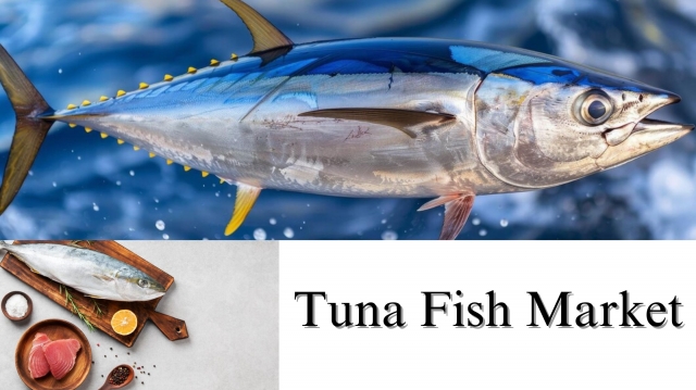 Tuna Fish Market Size, Share, Growth and Forecast Overview Through 2032