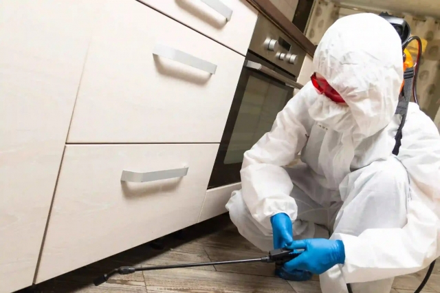 How to Prepare Your Home Before Newmarket Pest Control Service Arrives