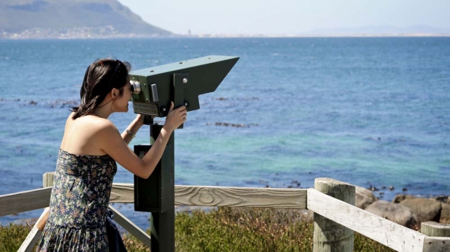Discover the Best Cape Town Sightseeing Spots: A Complete Guide