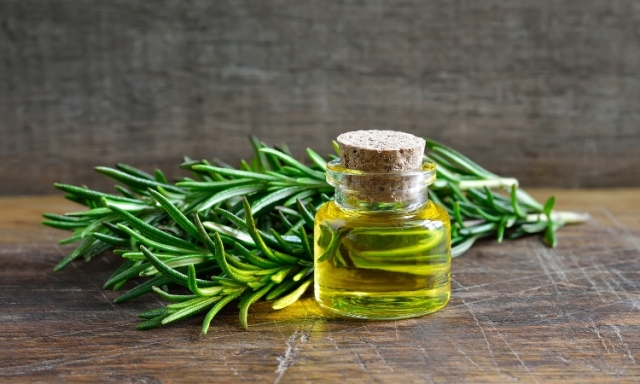 Rosemary oil for hair growth 