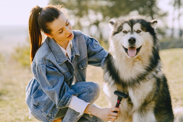 Book Your Furry Friend a Day of Fun at Rover's Doggy Day Care!