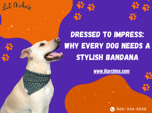 Dressed to Impress: Why Every Dog Needs a Stylish Bandana