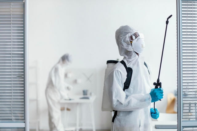 Commercial Bed Bug Extermination in Connecticut: How to Provide a Pest-Free Business