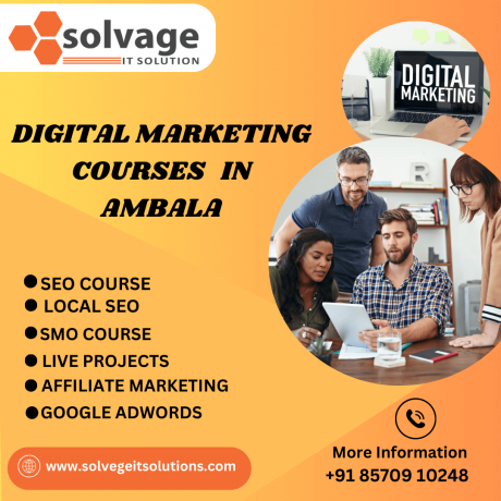 Best Digital Marketing Course in Ambala: SEO, SMO, SMM & PPC