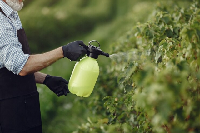 Optimizing Agricultural Irrigation Systems with Hydrogen Peroxide Water Disinfection