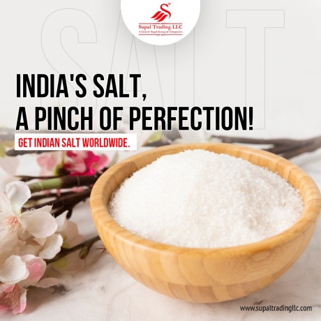 Which are the Top 10 Best salt supplier Companies in India?