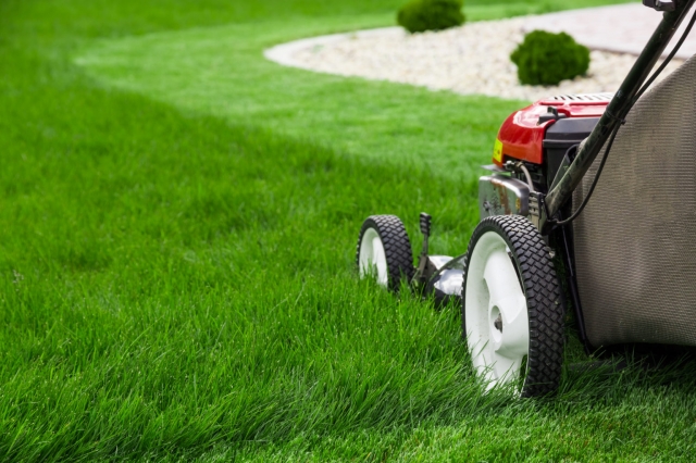 Simple & Cost-Effective Landscaping Ideas