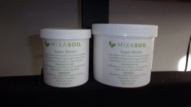 Signs Your Cannabis Plants Are Ready for Super Bloom