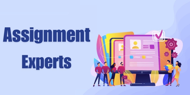 How Assignment Experts Cater to Different Academic Levels