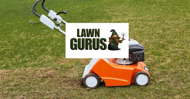 Why Hiring the Best Lawn Mowing Service in Wilmington Is Worth Every Penny