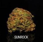 Discovering Sunrock Weed: The Rising Star of Cannabis
