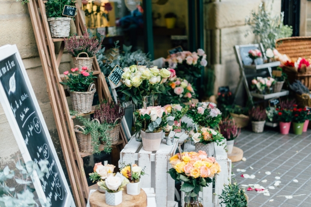 November Birth Flowers and Their Meanings