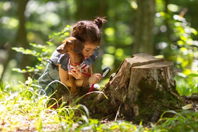 Creating a Nature Preschool: Tips for Educators and Parents