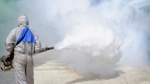 Top Benefits of Hiring Expert Pest Control Services in Barrie