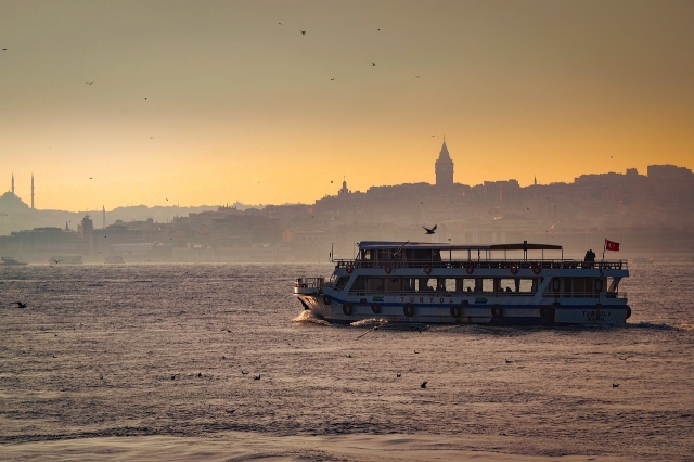 Personal Growth, Global Perspective: The Power of Homestays