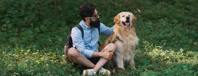 Why Choose Dog Grooming at Home in Bangalore?