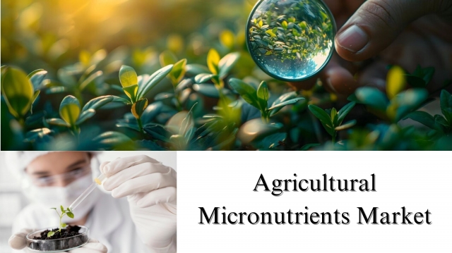 Agricultural Micronutrients Market Size, Share, Trends: Growth and Forecast to 2032