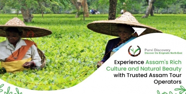 Assam Tour Packages, Assam Holiday Packages | Purvi Discovery