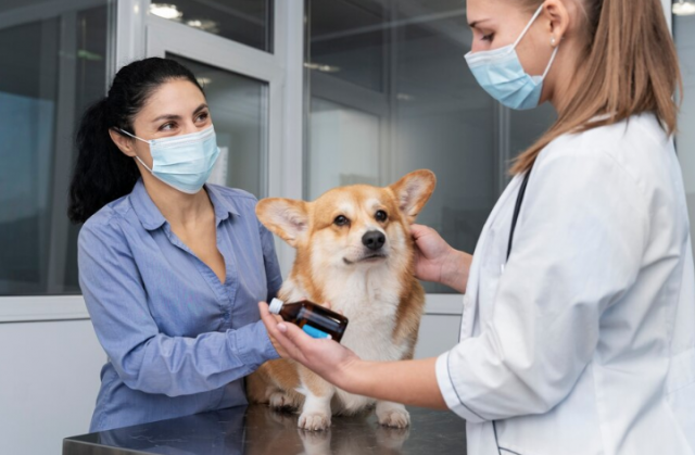 pet vaccination clinic