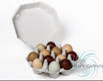 Durable Cardboard Egg Cartons – A Trusted Choice