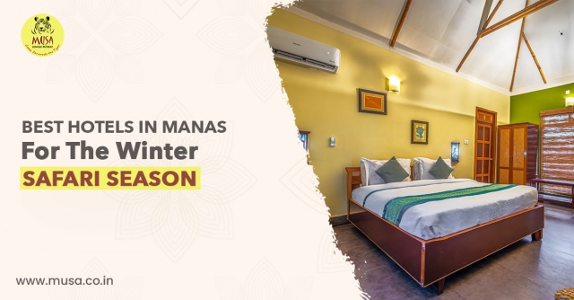 Best Hotels in Manas for the Winter Safari Season 