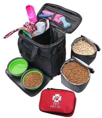 Pet Travel Accessories Market is Facilitated by Rising Pet Tourism Trends