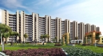 Property Flat Rent in Gillco Parkhill