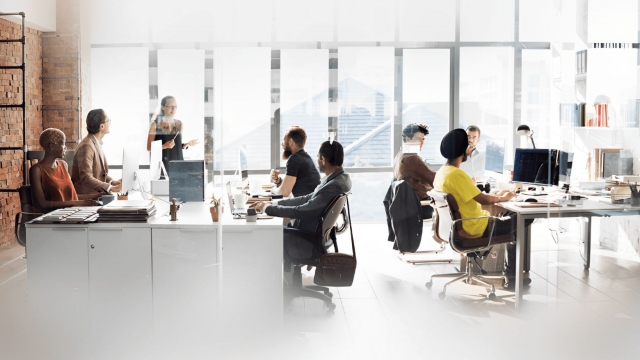 Elevate Your Brand with the Best SEO Agency in New York