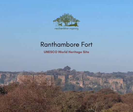 Ranthambore Fort: A Glimpse into Rajasthan's Rich History