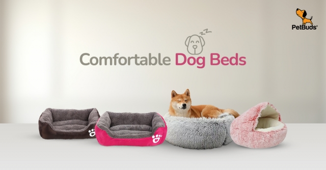 Best Dog Beds for Every Pup's SpecialNeeds