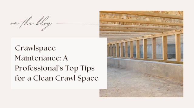 Crawlspace Maintenance: A Professional’s Top Tips for a Clean Crawl Space