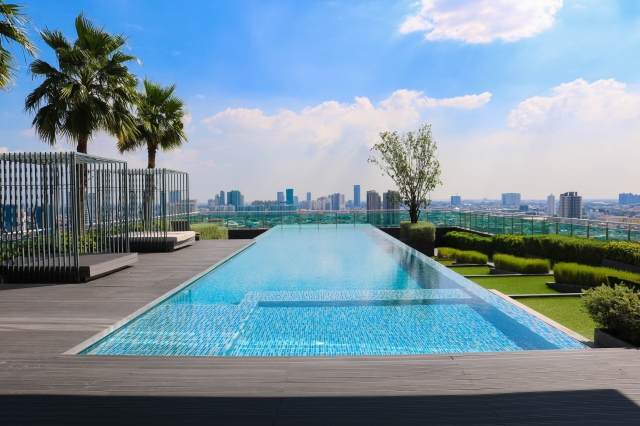 How a Swimming Pool Renovation Company Transforms Your Pool