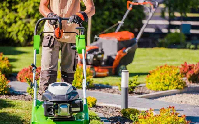 Affordable Tree Planting Services in Boise, Idaho - Dreamscapes